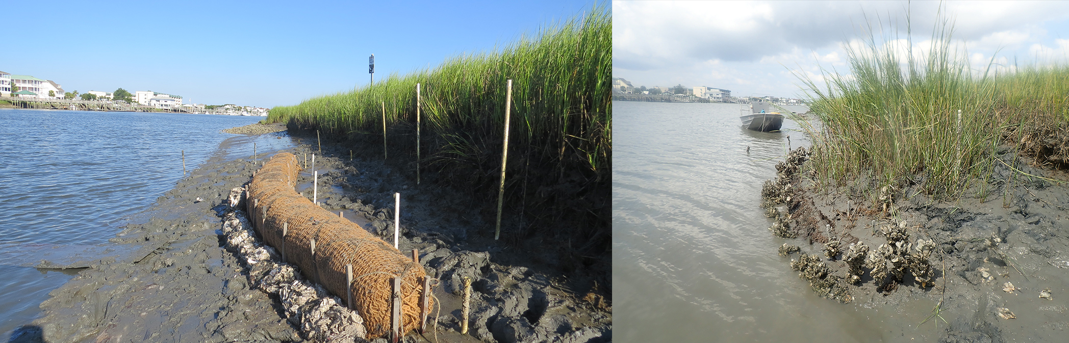 Coir log living shoreline installation shown in Big Bay Creek, Edisto Island in July 2016. Same installation site shown again in September 2019. 