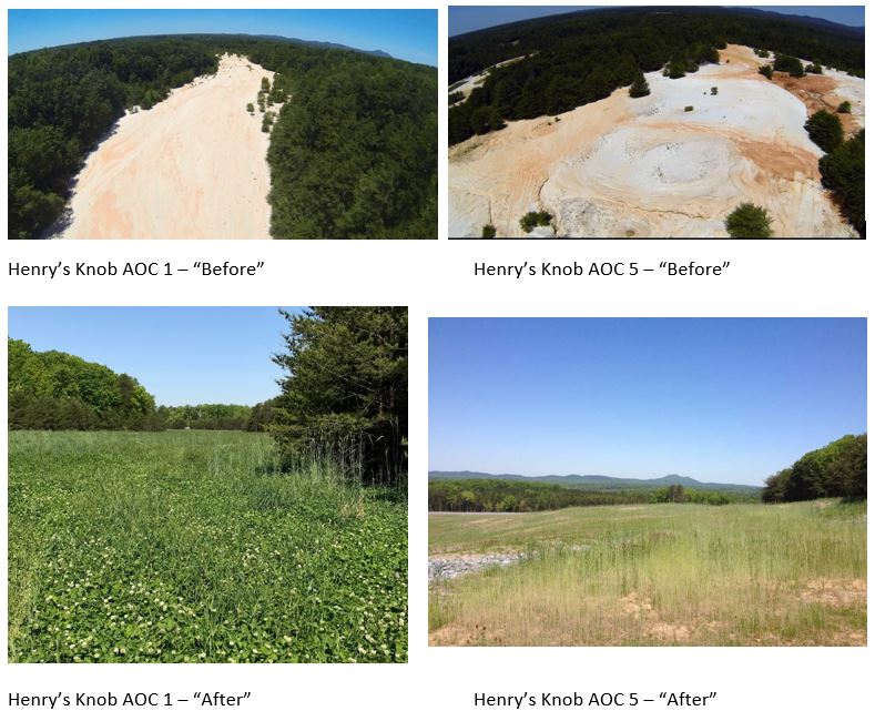 The successful ecological revitalization of the Henry’s Knob Superfund Site 