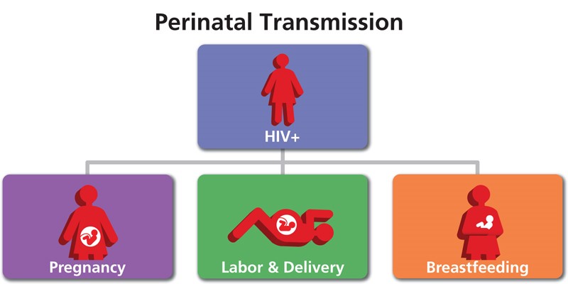 female to male hiv transmission