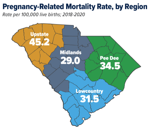 Pregnancy Related Mortality Rate, by Region