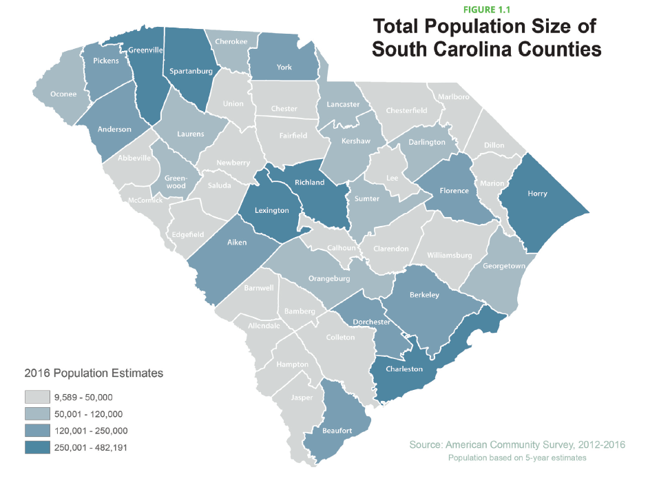 South Carolina Health At A Glance 2018 Live Healthy State Health Assessment Report Demographics Scdhec