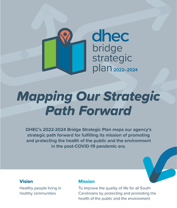 DHEC Strategic Bridge Plan - short Version
