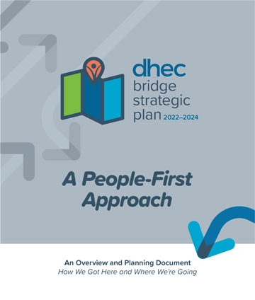 DHEC Strategic Bridge Plan - Full Version