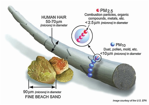 Description: Particle pollution size comparison to diameter of human hair (50-70 microns) and fine beach sand (90 microns), Particle Pollution 2.5 and 10 is 2.5 and 10 microns in diameter, respectively