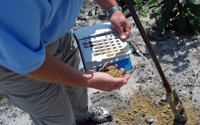 Description: DHEC site evaluators pay close attention to soil color and texture.