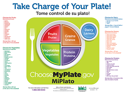 Take Charge Of Your Plate! Placemat